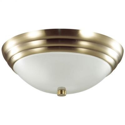 Настенно-потолочный светильник Lumion Kayla 5262/2C