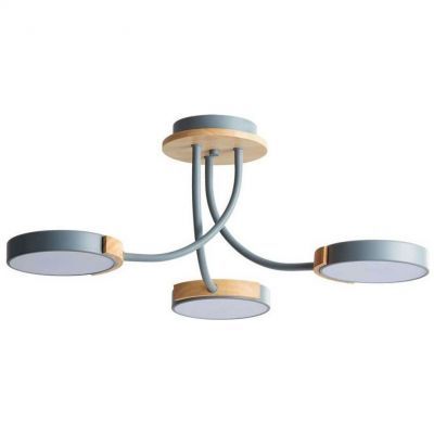 Потолочная люстра Lumion ARLEY 5655/54CL