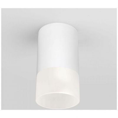 Уличный потолочный светильник Light LED 2106 IP54 Elektrostandard 35139/H белый