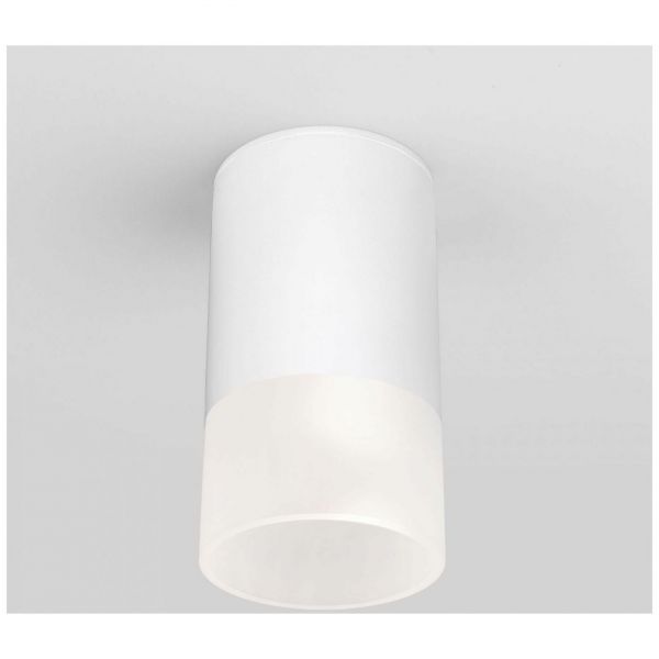 Уличный потолочный светильник Light LED 2106 IP54 Elektrostandard 35139/H белый