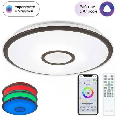 Потолочный светодиодный светильник Citilux Старлайт Смарт CL703A65G