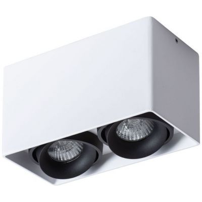 Потолочный светильник Arte Lamp Pictor A5654PL-2WH