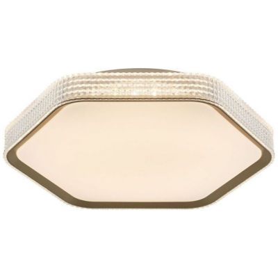 Потолочный светодиодный светильник 51299/1GD CL+WT ЭкономСвет