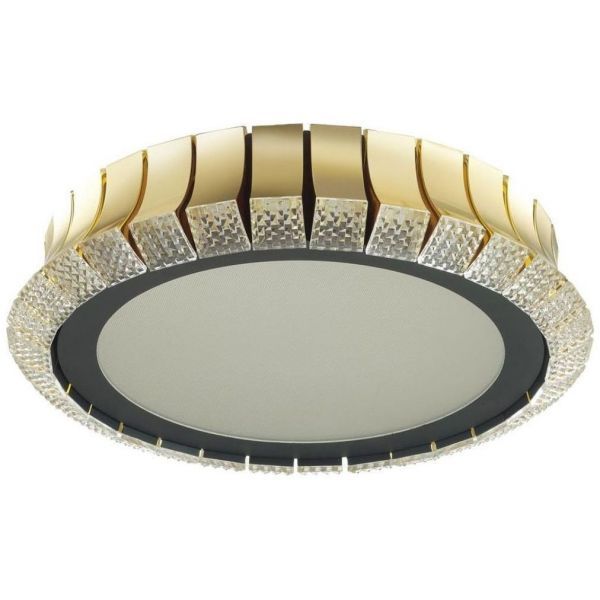 Потолочный светодиодный светильник Odeon Light 4994/75L
