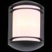 Светильник уличный настенный ST Luce SL076.401.01