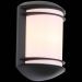 Светильник уличный настенный ST Luce SL076.401.01