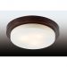 Настенно-потолочный светильник Odeon Light 2744/3C IP44