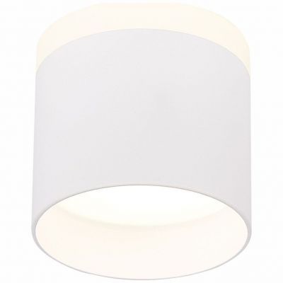 Светильник потолочный ST Luce ST102.542.09