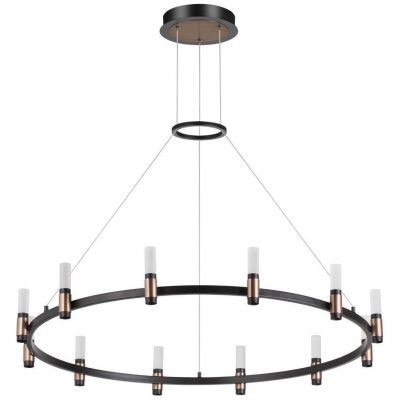 Подвесная светодиодная люстра Odeon Light 5009/48L