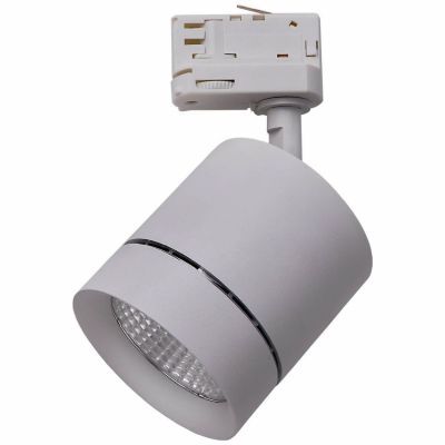 Трековый светодиодный светильник Lightstar Canno Led 301594