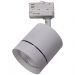 Трековый светодиодный светильник Lightstar Canno Led 301594