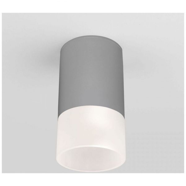 Уличный потолочный светильник Light LED 2106 IP54 Elektrostandard 35139/H серый