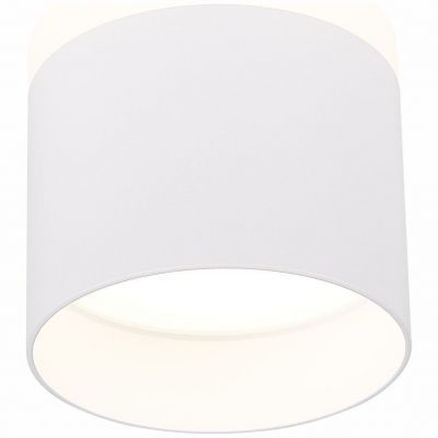 Светильник потолочный ST Luce ST102.542.12