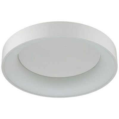 Потолочный светодиодный светильник Odeon Light Sole 4066/40CL