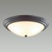 Настенно-потолочный светильник Lumion Kayla 5263/3C