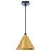 Подвесной светильник Arte Lamp David A7033SP-1BK