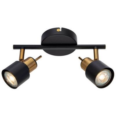 Спот Arte Lamp A1906PL-2BK
