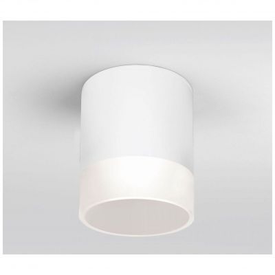 Уличный потолочный светильник Light LED 2107 IP54 Elektrostandard 35140/H белый