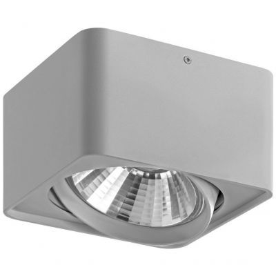 Потолочный светильник Lightstar 212619 Monocco
