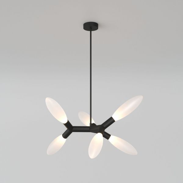 Потолочный светильник Eurosvet 30180/6 черный Smart