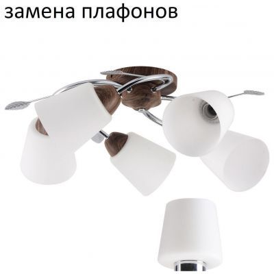 Потолочный светильник ЭкономСвет 66002N/5WD+CR WT