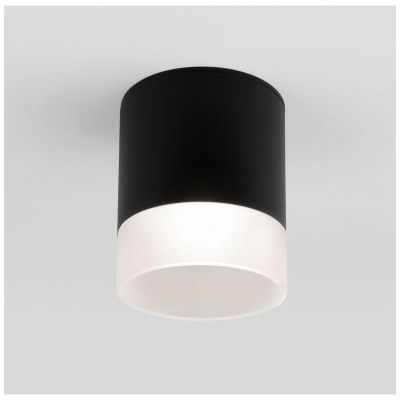 Уличный потолочный светильник Light LED 2107 IP54 Elektrostandard 35140/H черный