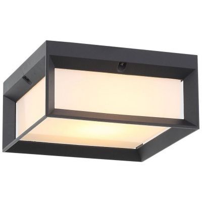 Светильник уличный потолочный ST Luce SL077.402.01