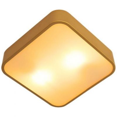 Потолочный светильник Arte Lamp Cosmopolitan A7210PL-2GO