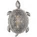 Настенный светодиодный светильник Favourite Turtle 2255-1W