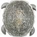 Настенный светодиодный светильник Favourite Turtle 2255-1W