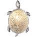 Настенный светодиодный светильник Favourite Turtle 2255-1W