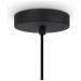 Подвесной светильник Maytoni Modern Roots MOD197PL-01W2