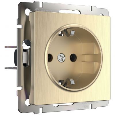 Розетка с з/к со шторками Werkel W1171110 шампань рифленый (WL10-SKGS-01-IP44)