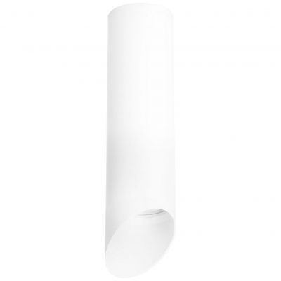 Накладной светильник Lightstar Rullo R649686