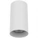 Потолочный светильник Lightstar 216486 Rullo