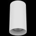 Потолочный светильник Lightstar 216486 Rullo