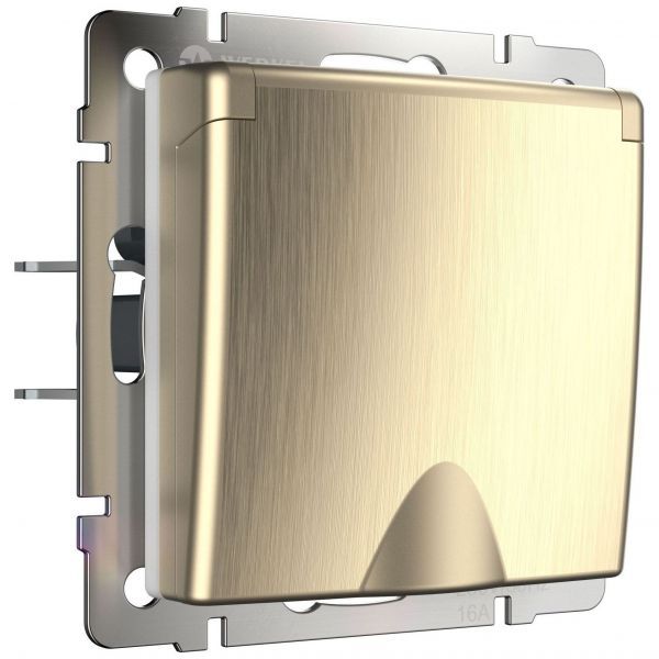 Розетка с з/к с крышкой и шторками Werkel W1171210 шампань рифленый (WL10-SKGSC-01-IP44)