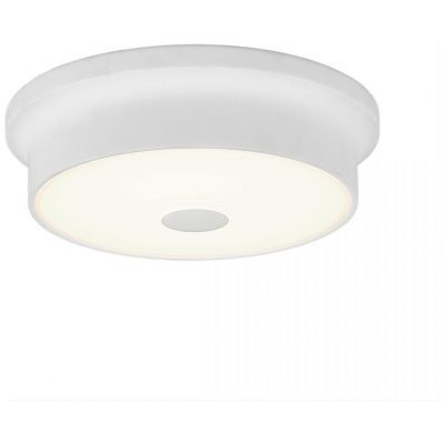 Светильник настенно-потолочный Citilux CL706210