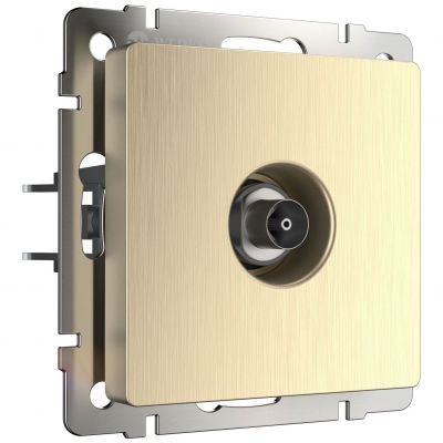 Розетка TV Werkel W1183010 шампань рифленый (WL10-TV)