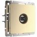 Розетка TV Werkel W1183010 шампань рифленый (WL10-TV)