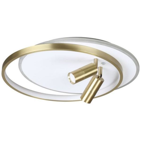 Потолочная светодиодная люстра Lumion 5603/63CL