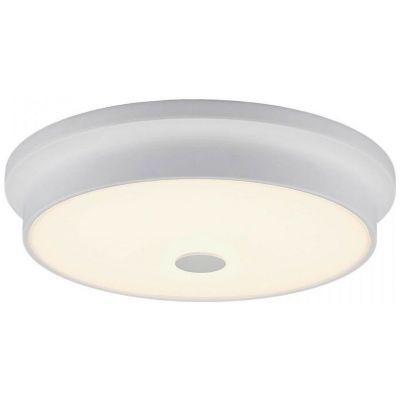 Светильник настенно-потолочный Citilux CL706230