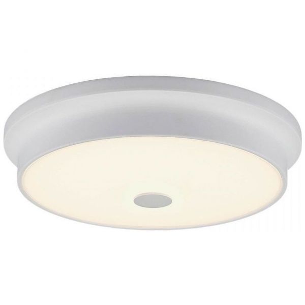 Светильник настенно-потолочный Citilux CL706230