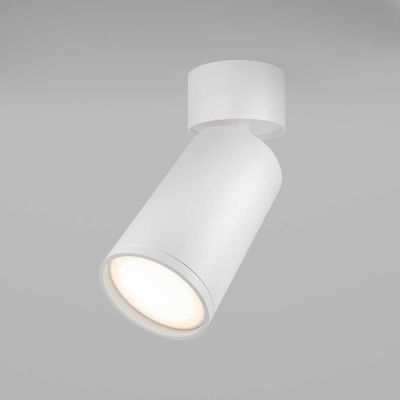 Потолочный светильник Maytoni C050CL-U-1W