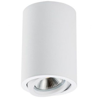 Потолочный светильник Lightstar Rullo 214406