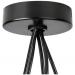 Подвесная люстра Lightstar Omega 727253