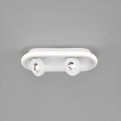 Потолочный светильник Eurosvet 20123/2 LED белый