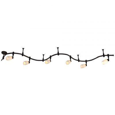 Светильник потолочный Arte Lamp A3059PL-6BK