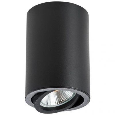 Потолочный светильник Lightstar Rullo 214407