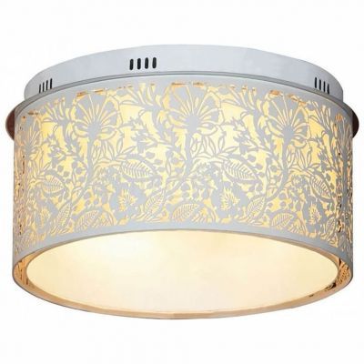 Потолочный светильник Lussole GRLSF-2307-07
